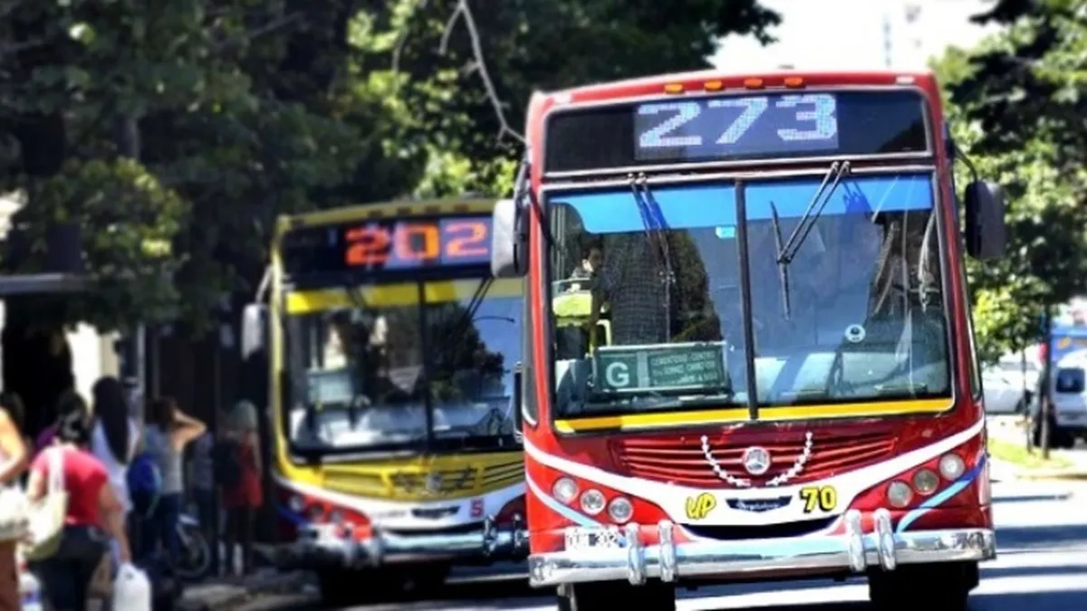 Amenazan con un nuevo paro de colectivos: cuándo será y a quiénes afectará