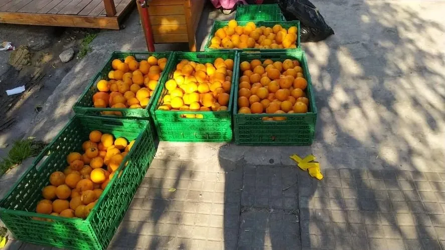 «Misión Naranja», una colecta para usar los sentidos y ayudar a una reconocida ONG