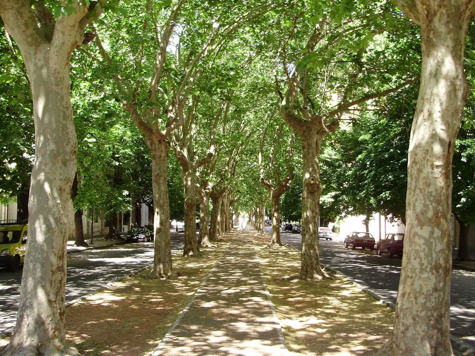 ¡La Plata en movimiento! Una agenda vibrante de cultura, recreación y espectáculos