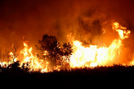 Solidaridad en acción: vecinos de La Plata organizan colecta para ayudar a combatir incendios en la Patagonia