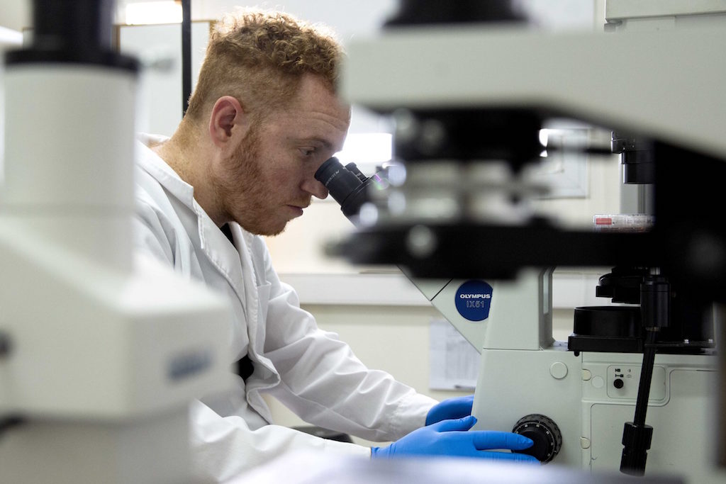 Avance científico en la UNLP: descubren compuestos prometedores para el tratamiento de la Epilepsia