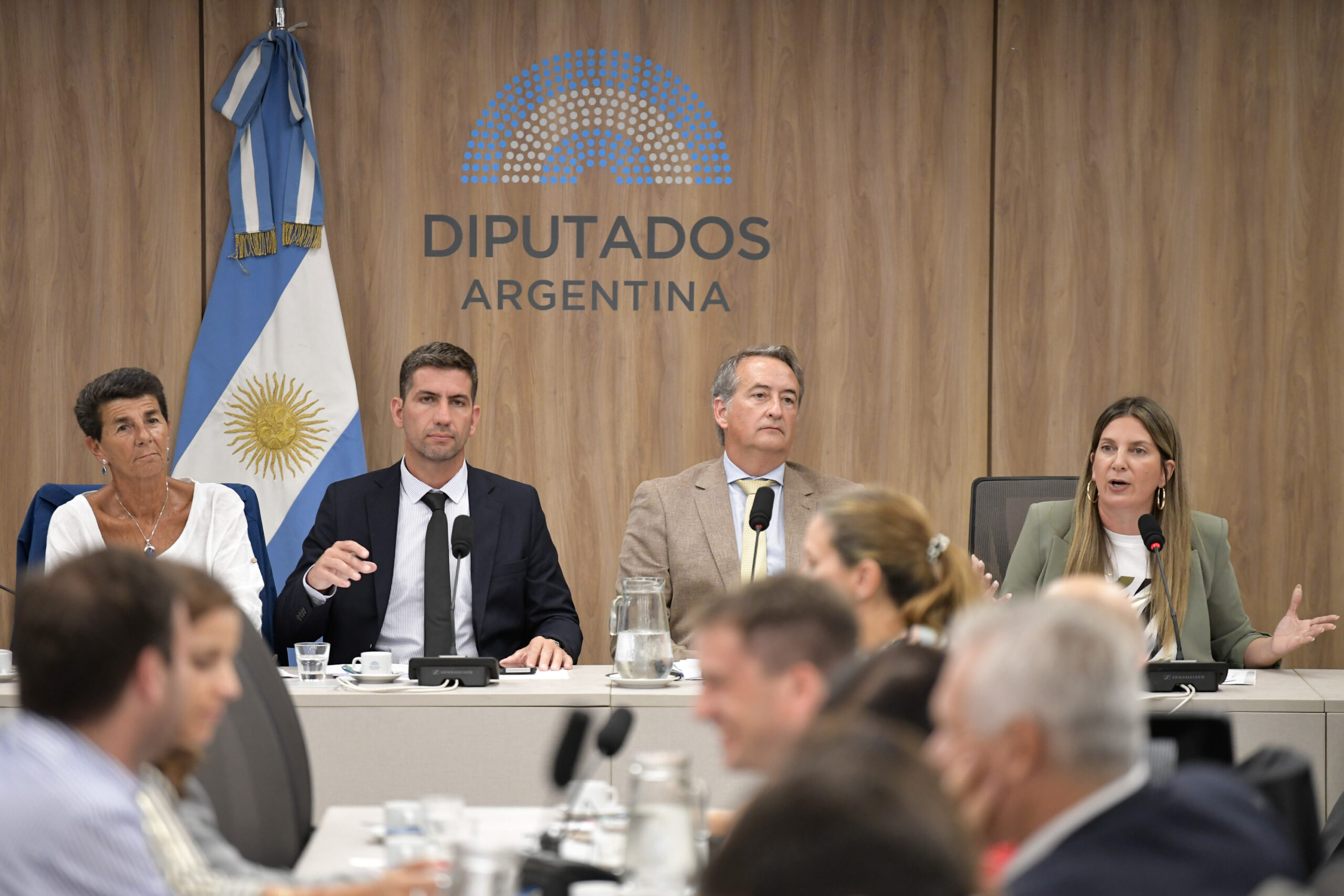 Ficha Limpia: el Senado debatirá un proyecto clave para la transparencia política