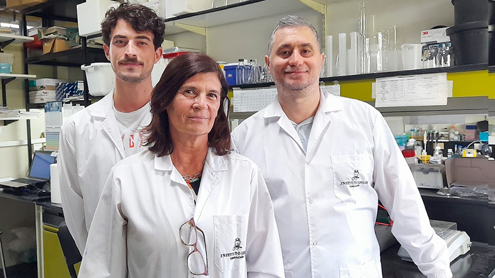 Avance científico argentino: descubren alteraciones mitocondriales asociadas al Alzheimer