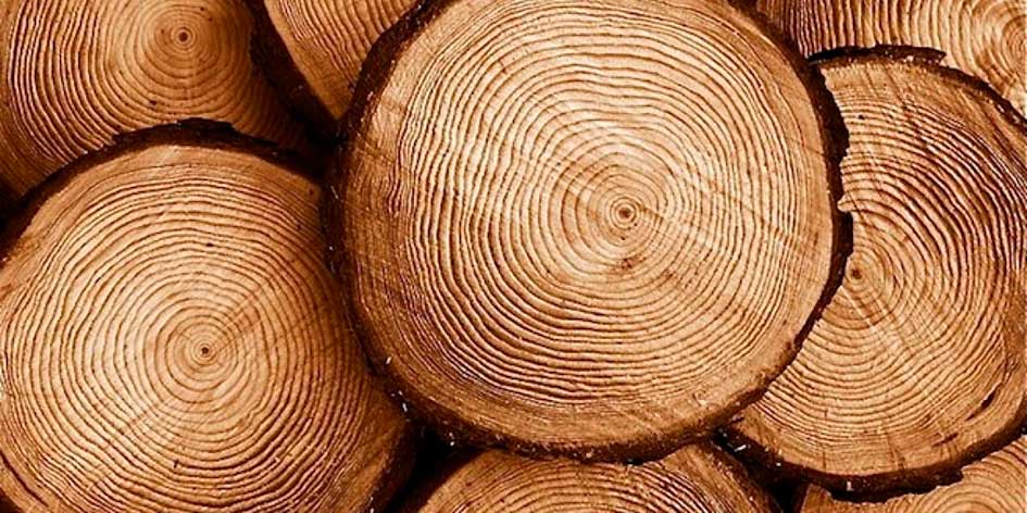 Supermadera: el futuro sostenible que podría reemplazar al acero