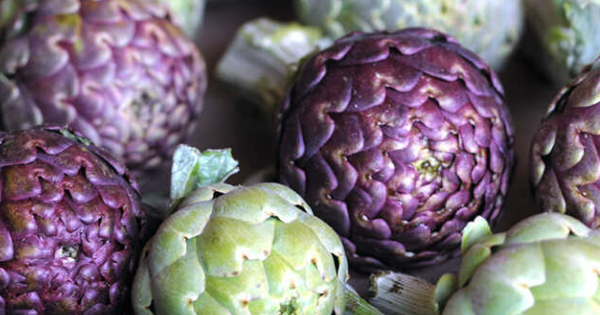 La Plata estalla en sabor y música: llega el festival del alcaucil