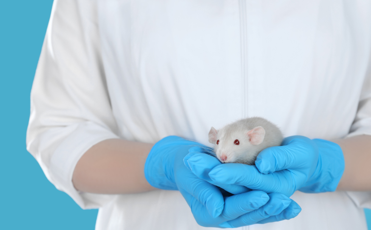 Un nuevo enfoque para tratar el Alzhéimer: restaurar la vasculatura cerebral en lugar de atacar las neuronas