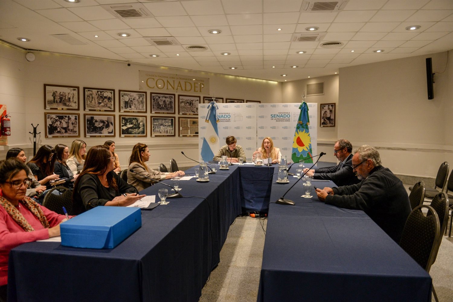 Comisión de Educación del Senado bonaerense: avances en educación digital y reconocimientos culturales