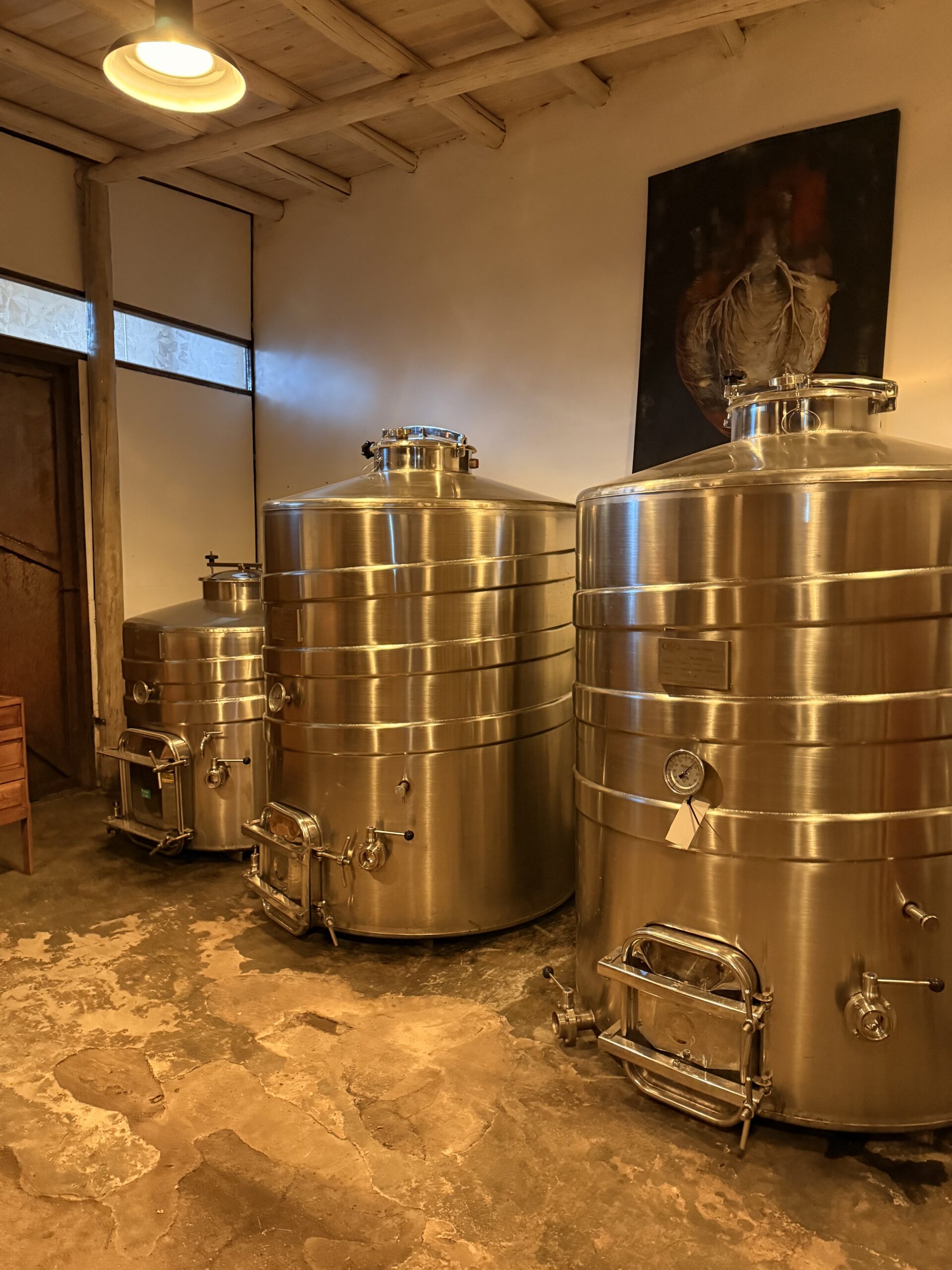Vino y microbiología: la estrategia que protege millones en las bodegas