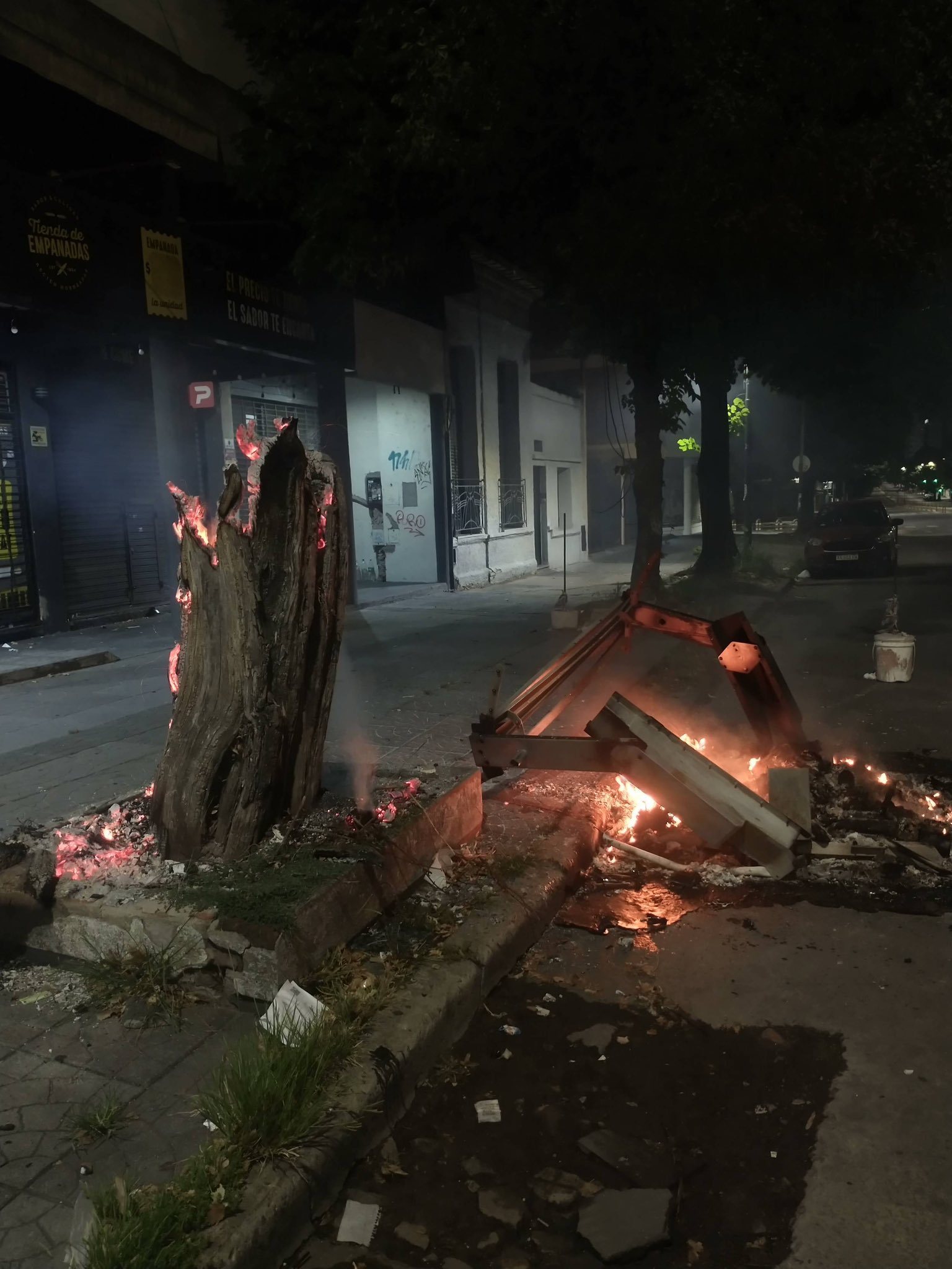 Alarma en una zona clave de La Plata: incendiaron un contenedor y el fuego alcanzó a un árbol en plena Diagonal 79
