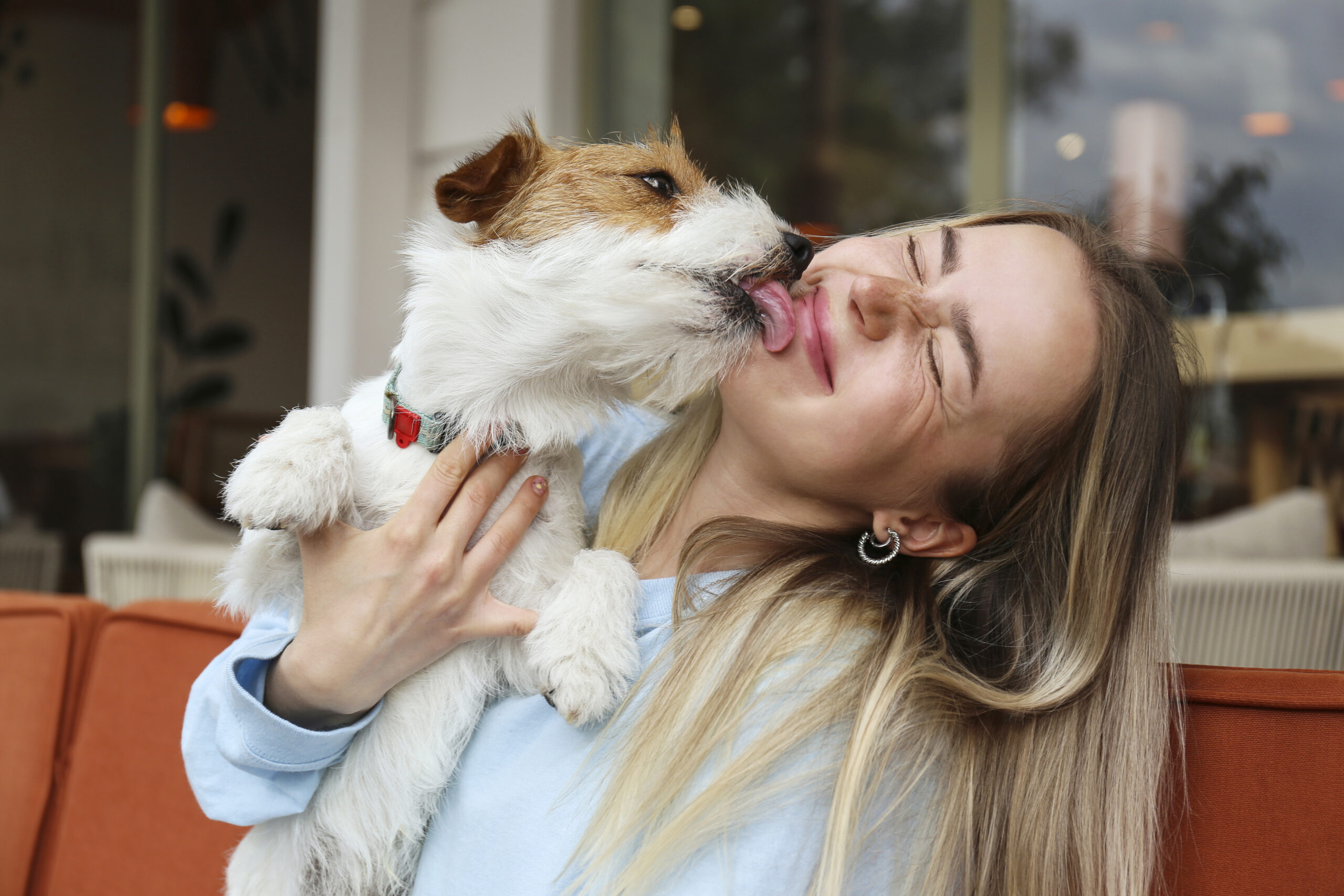 Una sociedad pet-friendly requiere mascotas preparadas