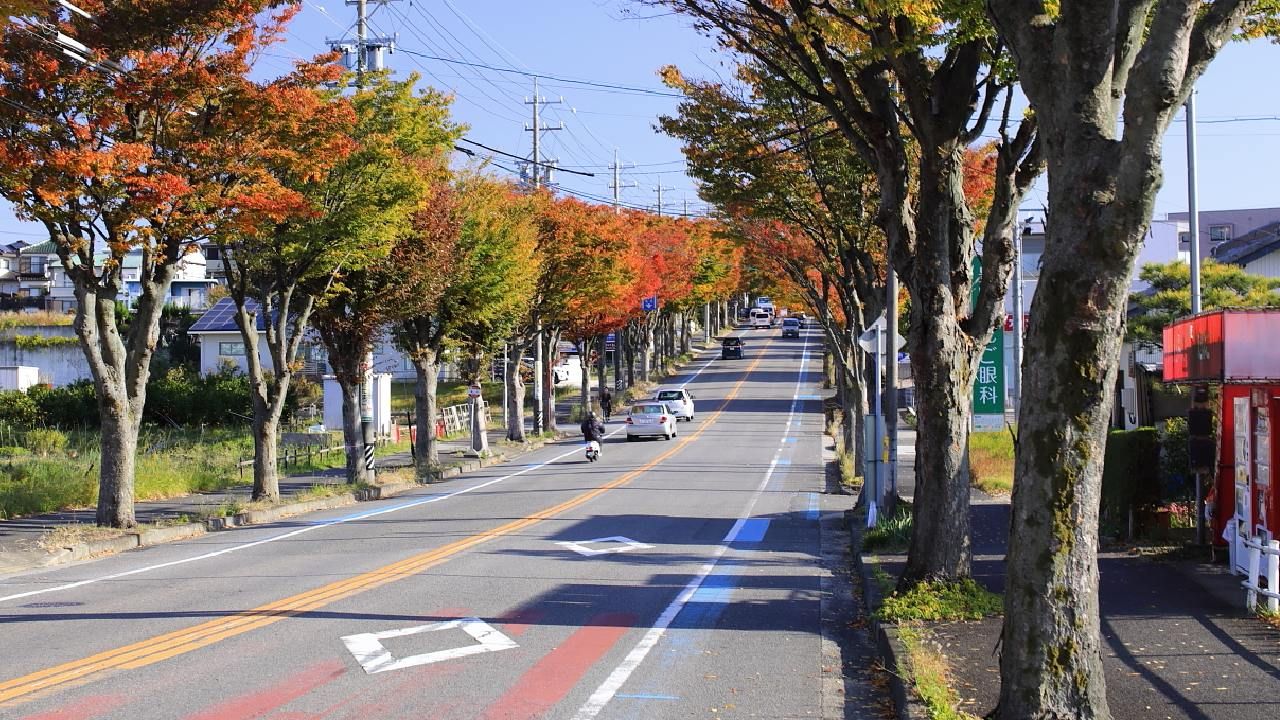 La ciudad japonesa que decidió ponerle un freno al uso del celular