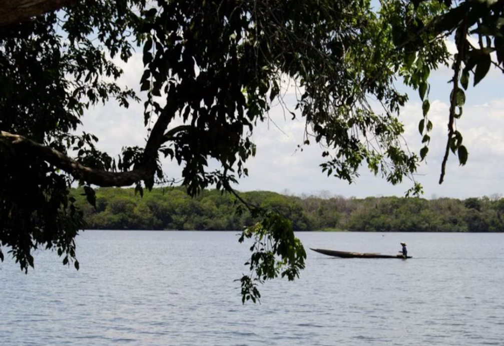 Sudamérica en alerta: los deltas del Paraná, Amazonas y Magdalena pierden altura más rápido que avanza el mar