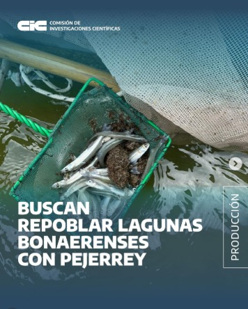 Pejerrey en crisis: cómo la sequía impacta en las lagunas bonaerenses y qué plan impulsa la ciencia para salvar la pesca