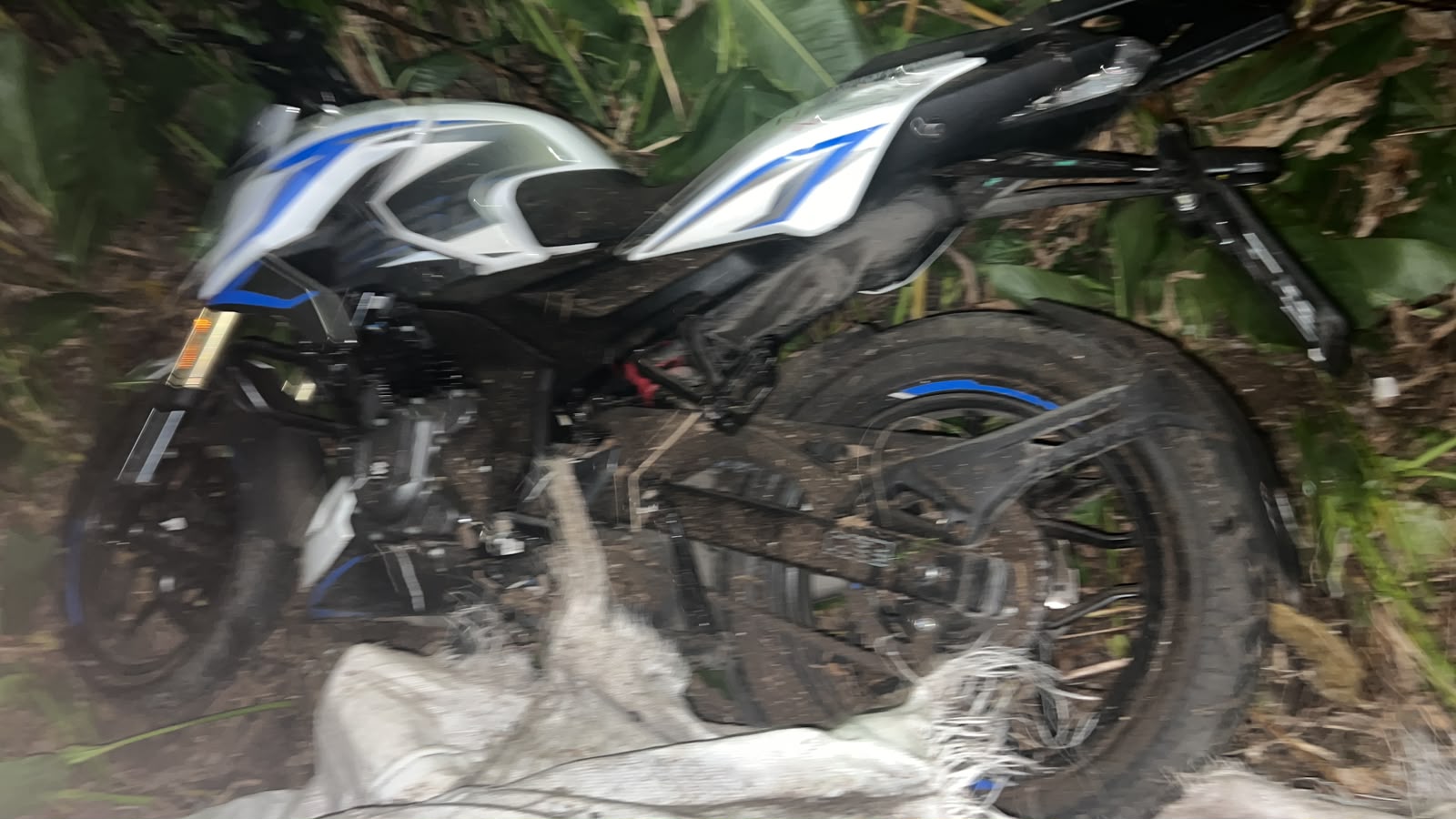 Ensenada: investigan a dos menores por el robo de una moto y vecinos denuncian una seguidilla de hechos delictivos