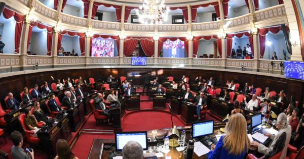 Hospitales, pacientes y nuevas leyes: qué proyectos de salud avanzaron en el Senado bonaerense